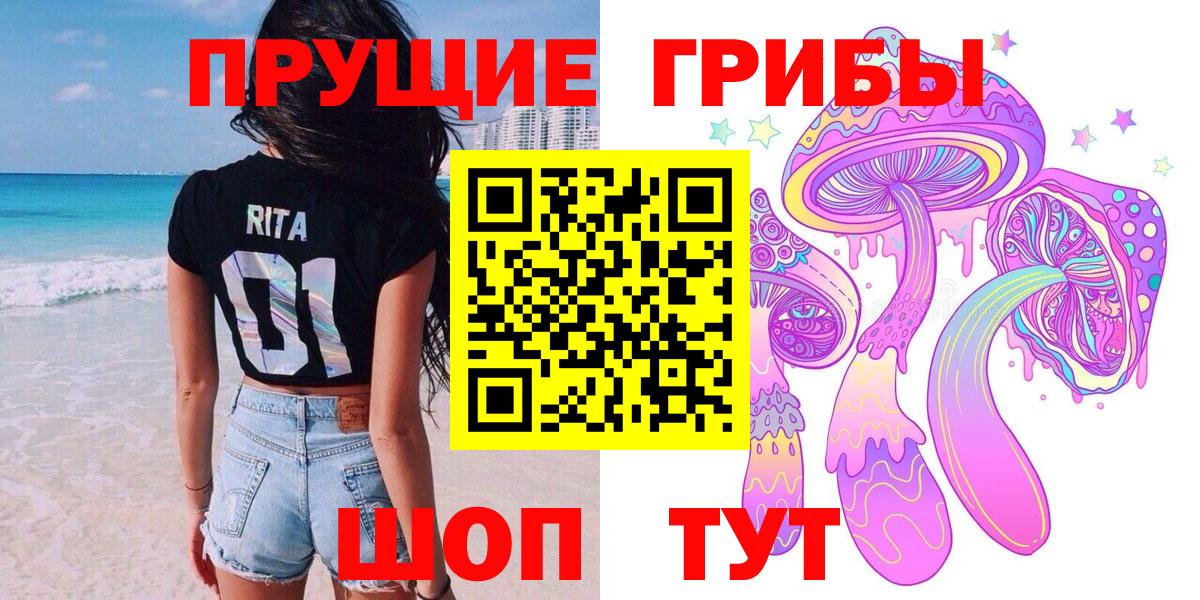 где можно купить наркотик  Псилоцибиновые грибы GOLDEN TEACHER  Вход с VPN  Псилоцибиновые грибы GOLDEN TEACHER  Гулькевичи 